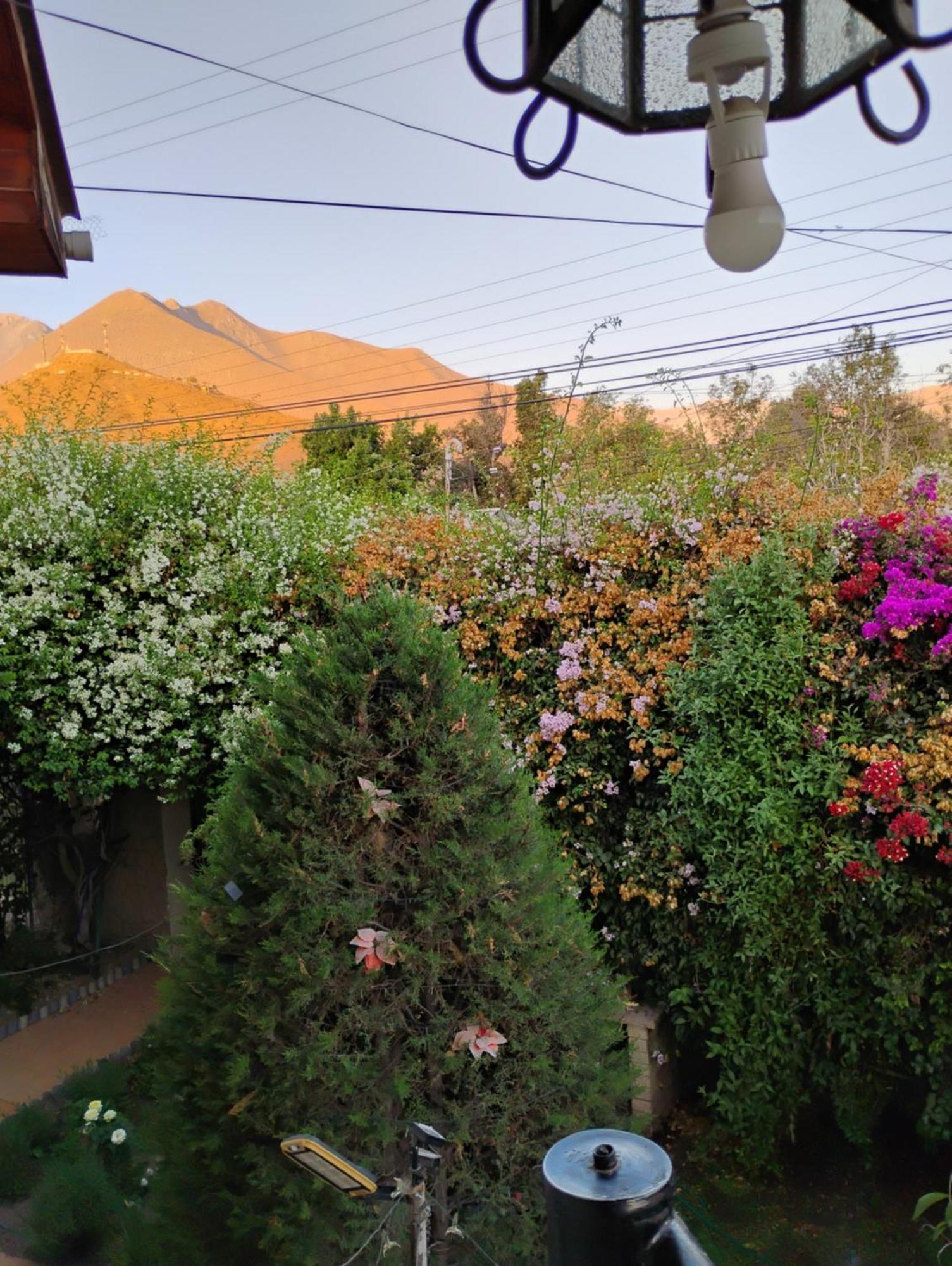 Hostal Donde Rita บิกุญญา ภายนอก รูปภาพ